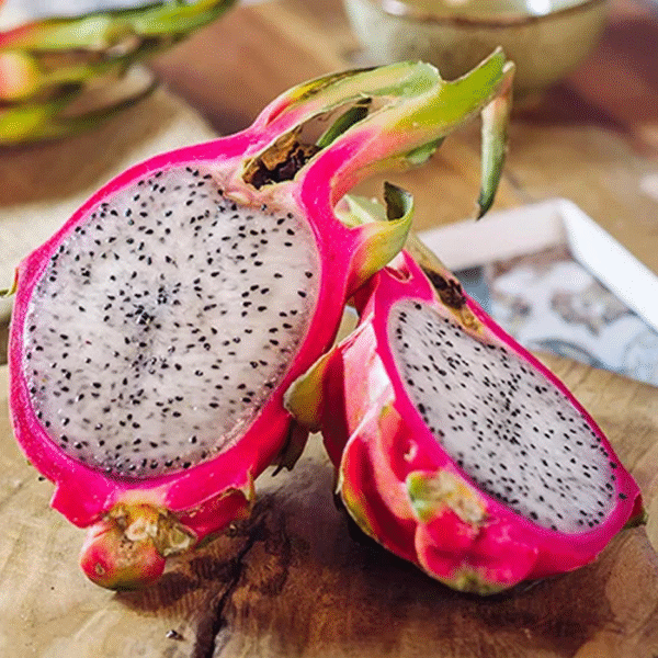 Your Product Name Here